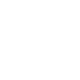 Angkor Tiger