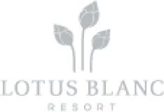 Lotus Blanc